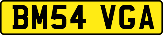 BM54VGA