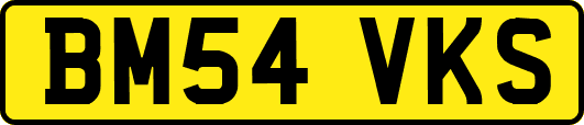 BM54VKS