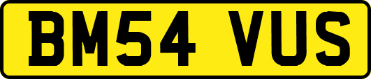BM54VUS