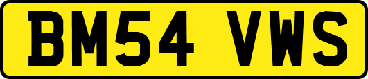 BM54VWS