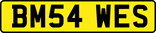 BM54WES