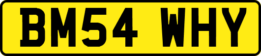 BM54WHY