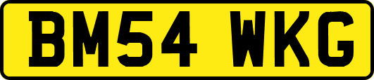BM54WKG