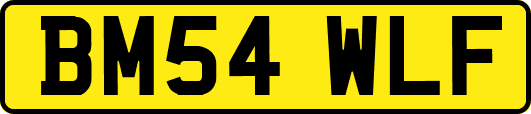 BM54WLF