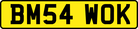 BM54WOK
