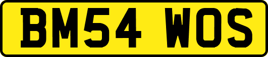BM54WOS