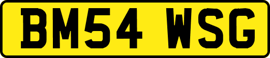 BM54WSG