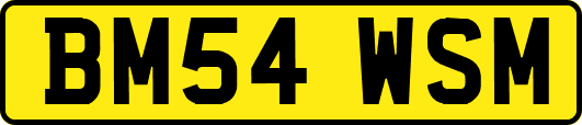 BM54WSM