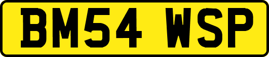 BM54WSP