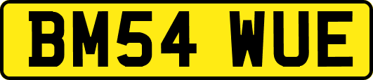 BM54WUE