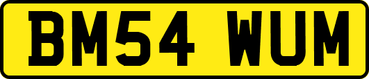 BM54WUM
