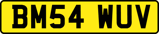 BM54WUV