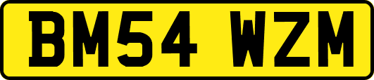 BM54WZM