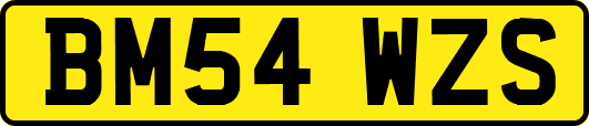 BM54WZS