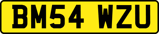 BM54WZU