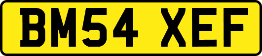 BM54XEF