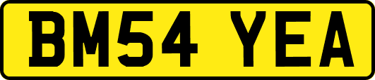 BM54YEA