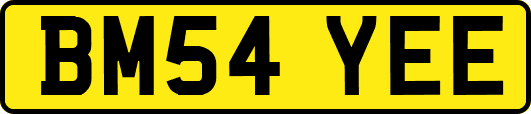 BM54YEE