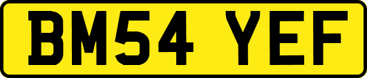BM54YEF