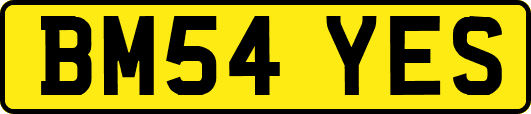 BM54YES