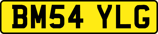 BM54YLG