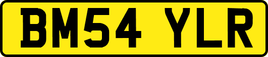 BM54YLR