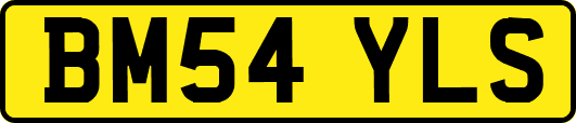 BM54YLS