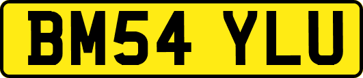 BM54YLU