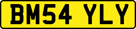 BM54YLY