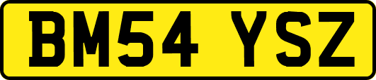 BM54YSZ
