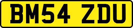 BM54ZDU