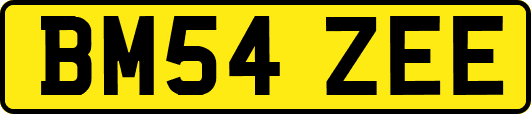 BM54ZEE