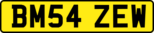 BM54ZEW