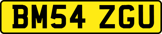 BM54ZGU