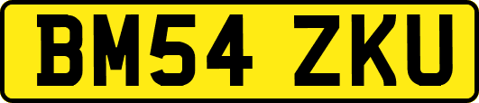 BM54ZKU