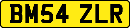 BM54ZLR