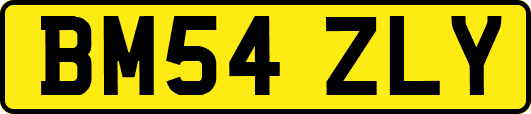 BM54ZLY