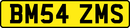 BM54ZMS