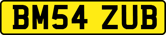 BM54ZUB