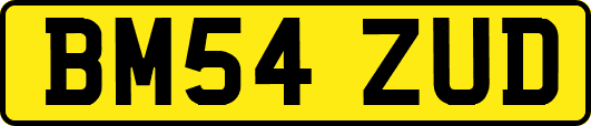 BM54ZUD