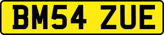 BM54ZUE