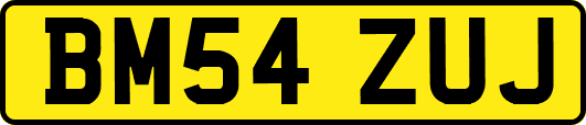 BM54ZUJ