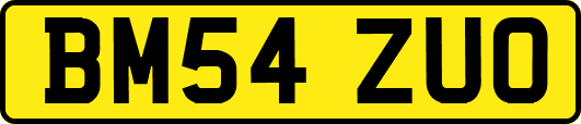 BM54ZUO