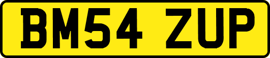 BM54ZUP