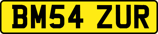BM54ZUR