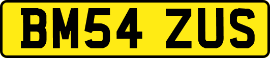 BM54ZUS