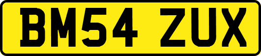 BM54ZUX