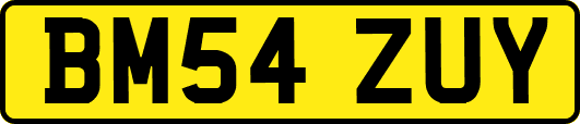 BM54ZUY