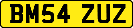 BM54ZUZ