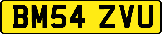 BM54ZVU